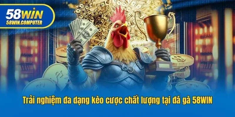 Trải nghiệm đa dạng kèo cược chất lượng tại đá gà 58win